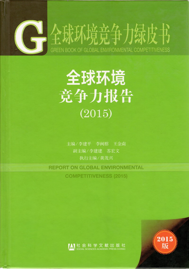 屌乱日屄视频在线观看全球环境竞争力报告（2017）